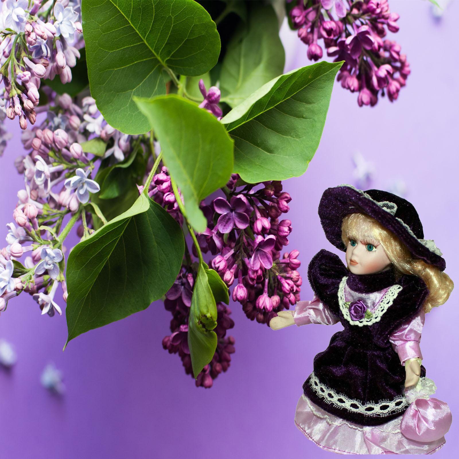 Porcelain Dolls Vintage Cerami - Vintage Collectible Porcelain Dolls 评论和价格